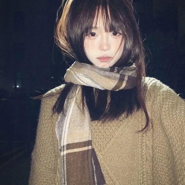 鲨人树儿