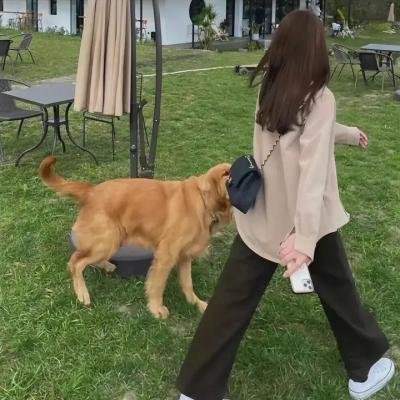 不负青春不负卿
